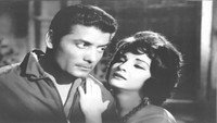 «Вор и собаки (1962)» — обои к фильму #3