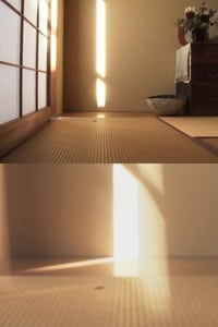 Imagem do Filme Dahlia