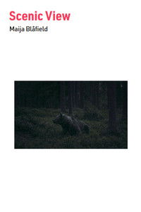 Imagem do Filme Scenic View