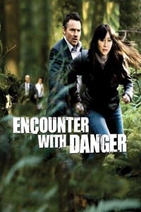 Poster de Encounter with Danger
