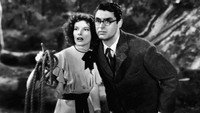 «Воспитание Крошки (1938)» — обои к фильму #8