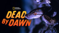 «Dead by Dawn (2019)» — обои к сериалу #8