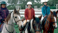 «Конный клуб (2001-2009)» — обои к сериалу #1