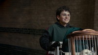 «Гарри Поттер (2026)» — обои к сериалу #3