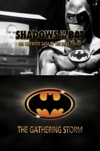 Shadows of the Bat: The Cinematic Saga of the Dark Knight - The Gathering Storm (2005)