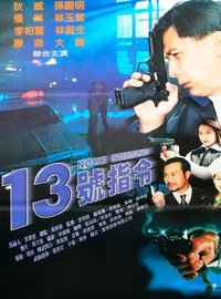 十三号指令 (1996)