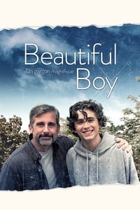 My Beautiful Boy (2018)