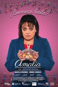 Poster de Amalia, la secretaria