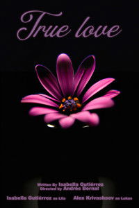 Poster de True Love
