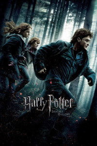 Постер фильма «Гарри Поттер и Дары Смерти: Часть I (2010)» — (15 из 136)