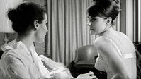 «Warm Nights and Hot Pleasures (1964)» — обои к фильму #1