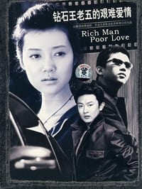 钻石王老五的艰难爱情 (2007)