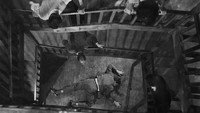 «Presença de Anita (1951)» — обои к фильму #1