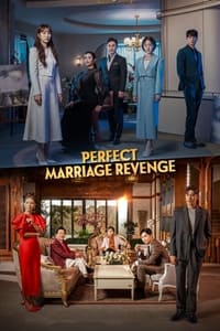 tv show poster Perfect+Marriage+Revenge 2023