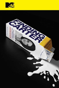 Постер сериала «В поисках Картер (2014-2015)» — (3 из 13)