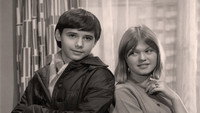 «Домашняя война (1965-1966)» — обои к сериалу #2