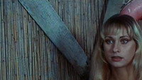 «Внимание... Лицеистки приехали! (1975)» — обои к фильму #1