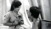 «Бродячий цирк (1988)» — обои к фильму #1
