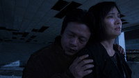 «Бродячие псы (2013)» — обои к фильму #10