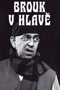 Brouk v hlavě