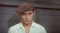 «Русское поле (1971)» — обои к фильму #3
