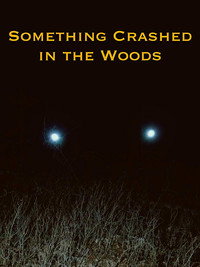Постер фильма «Something Crashed in the Woods (2019)» — (2 из 4)