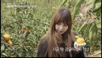 (BLACKPINK HOUSE)’ EP.11-1