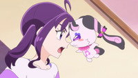 Idol Precure VS ZukyoonKiss?!