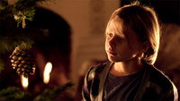 «Ель (2011)» — обои к фильму #4