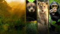«Growing Up Animal (2021)» — обои к сериалу #3