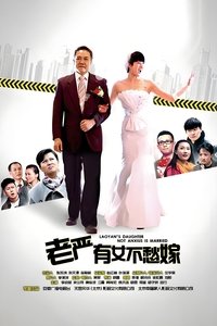 老严有女不愁嫁 (2013)