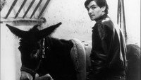 «Наудачу, Бальтазар (1966)» — обои к фильму #1