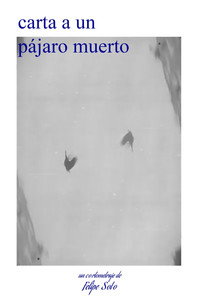 letter to a dead bird