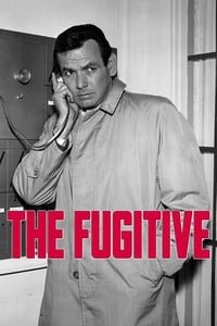 copertina serie tv The+Fugitive 1963