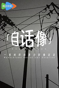 自话像