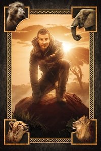 movie-images