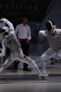 Fencing
