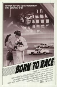 Poster de Born to Race