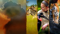 «Magic of Disney's Animal Kingdom (2020)» — обои к сериалу #2