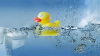 How Does Water Create Life?