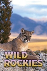 Wild Rockies - Season 1