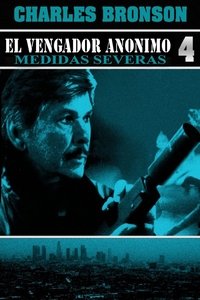 Poster de El vengador anónimo 4: El regreso del justiciero