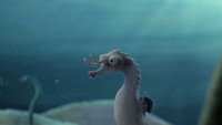 «The Lost Seahorse (2021)» — обои к мультфильму #1