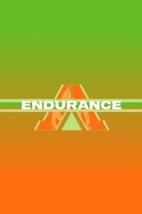 Movie poster of Endurance