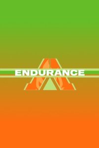 Poster de Endurance