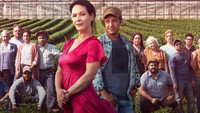 «Le temps des framboises (2022)» — обои к сериалу #2