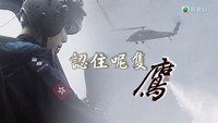 Episode 219