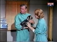 S01E08 - (1966)