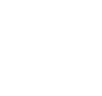 ICS Nordic