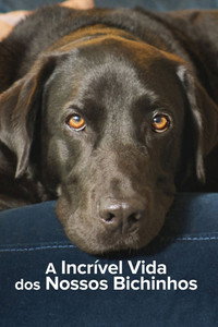 A Incrível Vida dos Nossos Bichinhos S01E04